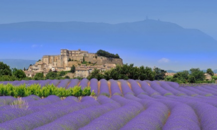 LUBERON 2025