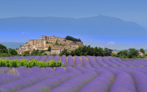 LUBERON 2025- 3 places disponibles