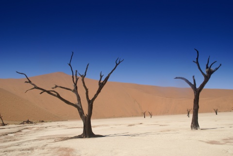 Flâneries australes en Namibie